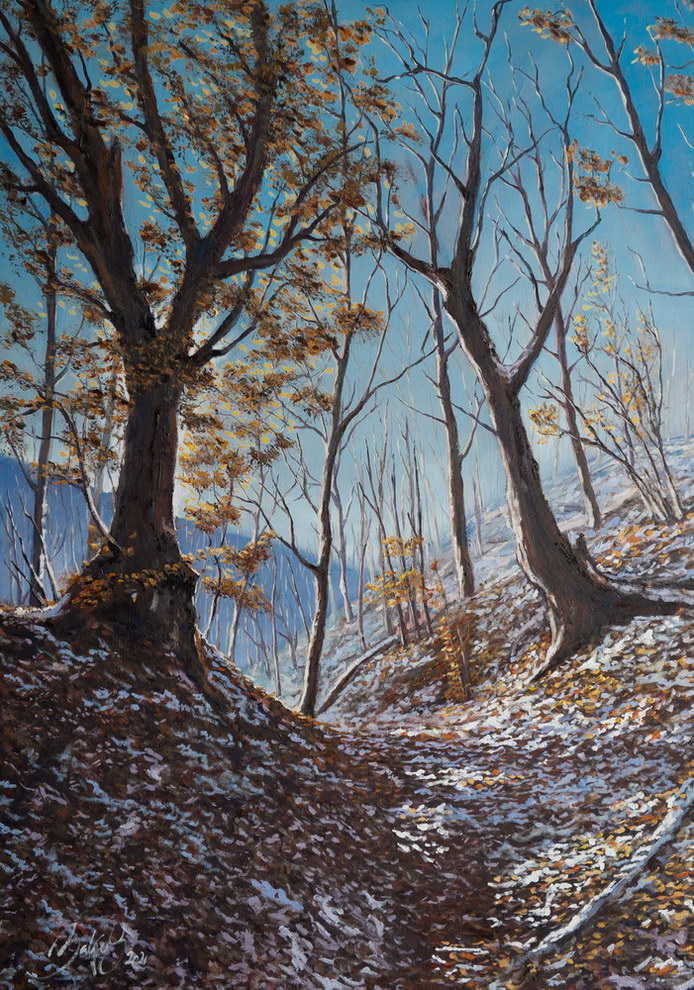 50x70cm oil on canvas - 510€