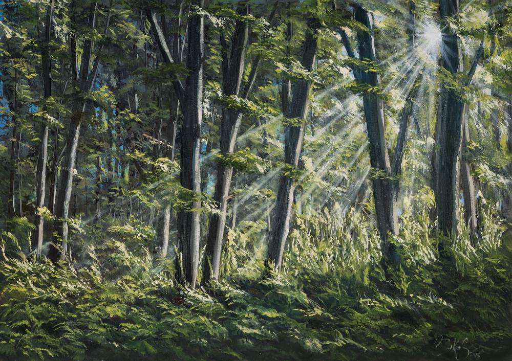70x50cm oil on canvas - 95€